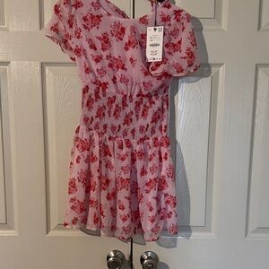 Zara Pink and Red Floral Mini Dress